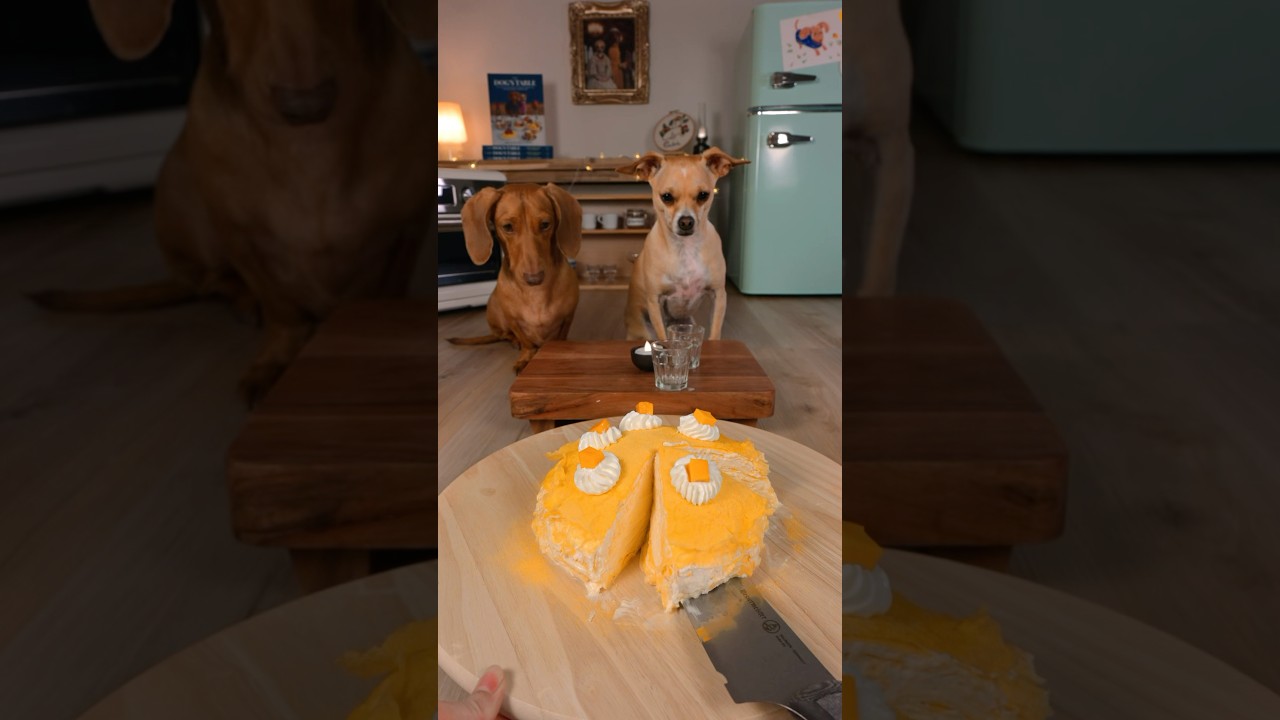 NEVER making crepup cake again 🤦‍♀️