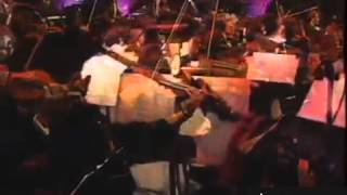 Te Olvidare Lyrics English Translation