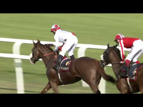 HAPPY CRAF - Al Manama Cup (Bahrain) - 10/12/2021