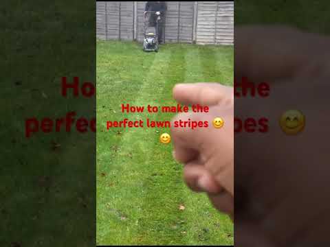 Best guide to make lawn stripes 🤩