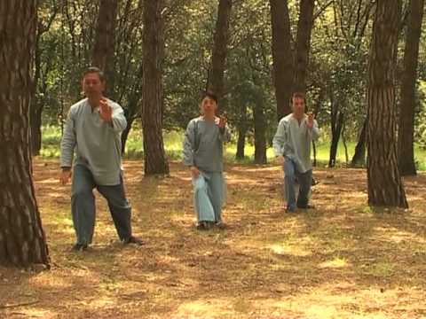 T'ai Chi celebration