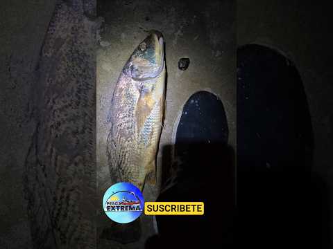 Balneario de Santa Ana