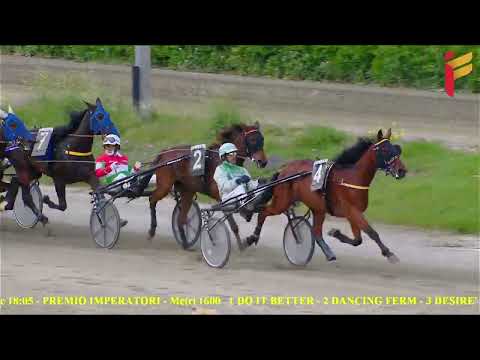 VI Corsa del 8 Maggio 2022 - 3 Anni - Metri 1600 - Gara Centrale