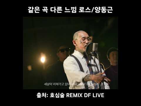 같은 곡 다른 느낌... YDG와 로스