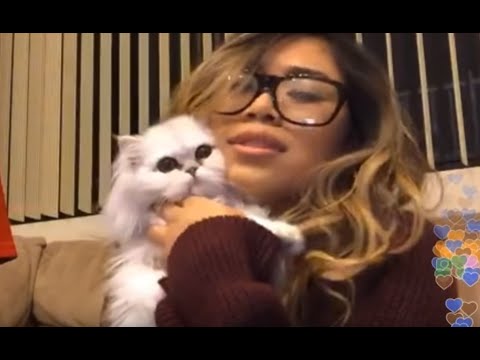 Hotline Bling (Drake) - Jessica Sanchez.