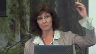 Perceiving Organizational Identity: Understanding How Audiences View ‘Who we Are’ and ‘What we Do’