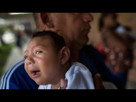 NIH: Zika virus at 'pandemic' level