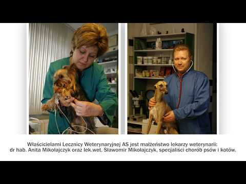 Weterynaria leczenie zwierząt Olsztyn Lecznica weterynaryjna AS