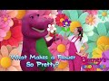 What Makes A Flower So Pretty Barney S Dino Toonz Version FANMADE Barney And ChikiToonz