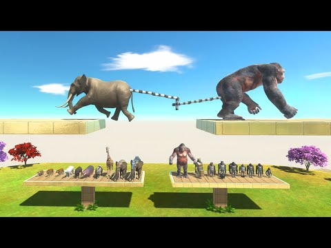 Tug of War Primates vs Mammals - Animal Revolt Battle Simulator