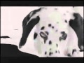 102 Dalmatians Teaser Trailer
