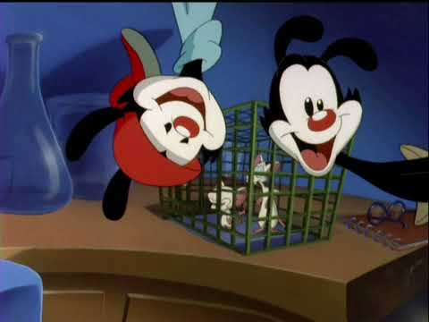 Les Animaniacs - "Minus et Cortex" Générique (V1)