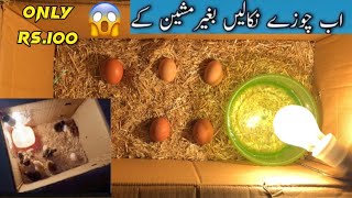 How to Make incubator it Home  With 100% Chicks hatching 🐣 how to make incubator at Home 2024