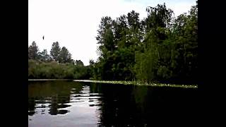 preview picture of video 'Boating on the Lake Sammamish slough'