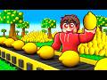 ROBLOX LEMON TYCOON