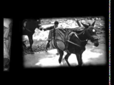 Trailer 50° Festival dei Popoli di Firenze