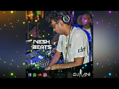DJ ANI × SHAKIRA - WHENEVER (NEXT LEVEL VOL 2)  #JAANWAAR