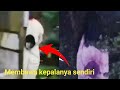 Penampakan Sundel Bolong Paling Jelas 7 Penampakan Hantu Paling Menyeramkan