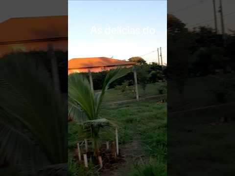 Procurando lugar pra morar no interior,  Buritama-SP