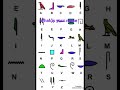 ￼ Letters in￼ hieroglyphics ￼