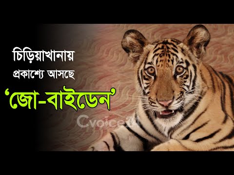 লকডাউন শেষে ১৯ আগস্ট থেকে ‘বাইডেন’ এবার আসছে সবার সামনে