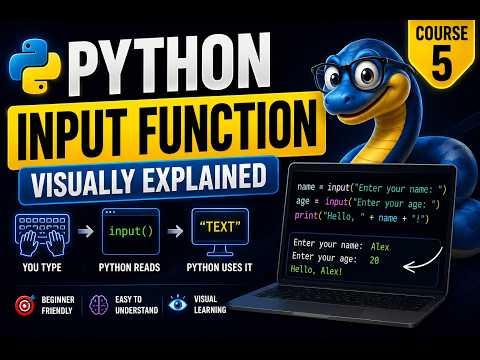 Python Input Function  Visually Explained   #Python Course 5. Creator :[@DataWithBaraa ]