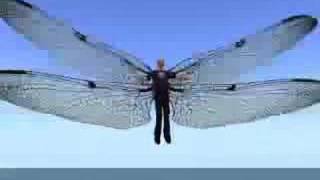 SecondLife Dragonfly Wings
