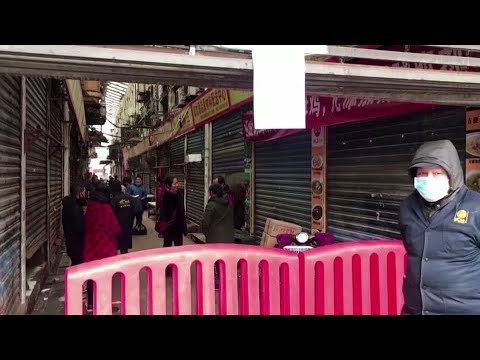 China's wildlife prosecutions up since COVID-19