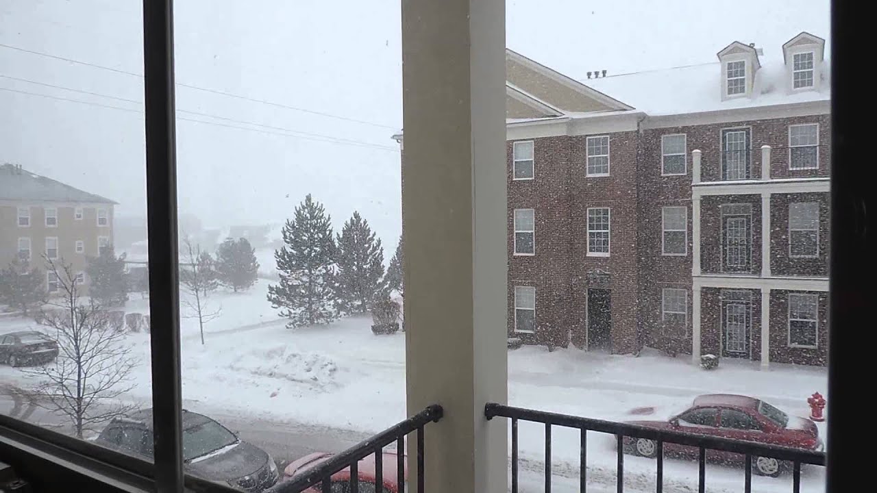 How many inches of snow did Canton MI get? Tipseri