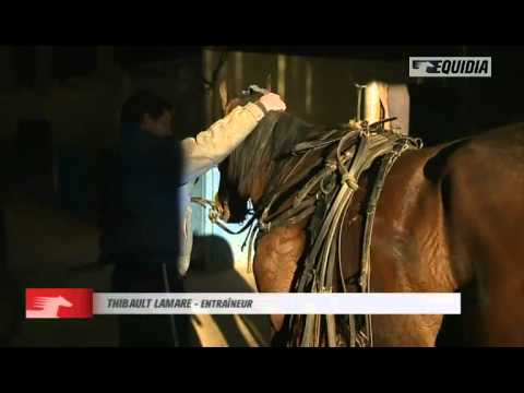 Carnet de pistes : Thibault Lamare / Un Uppercut