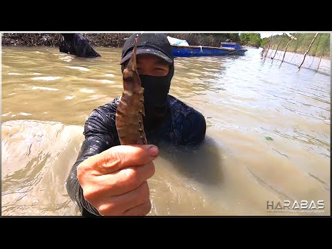 EP522-Part 2 - Pangangapa sa Ilog ng Hipon, Isda, Alimango at Sugpo | Catch and Wild Cook