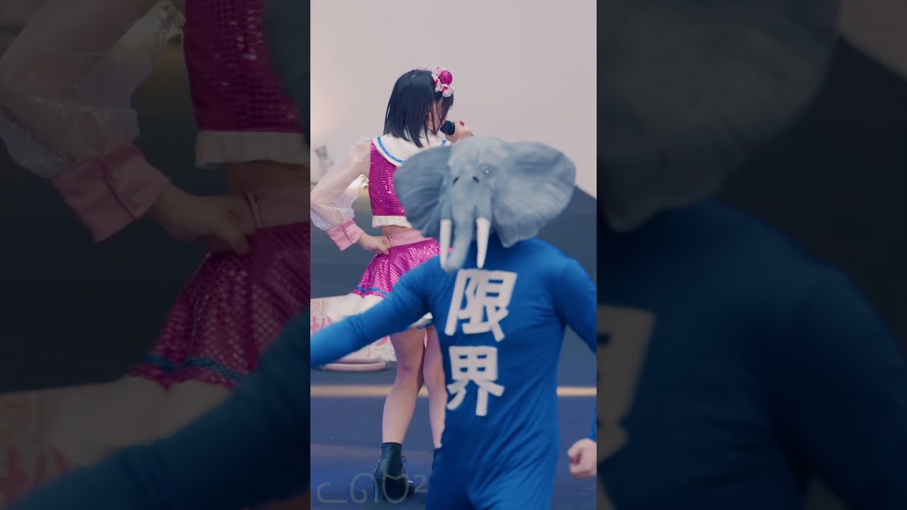 2025.11.16 - 松山あおい「おねえさん動物園」【デザインフェスタ】 