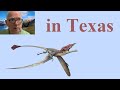 Pterodactyl Sightings — News about long tails