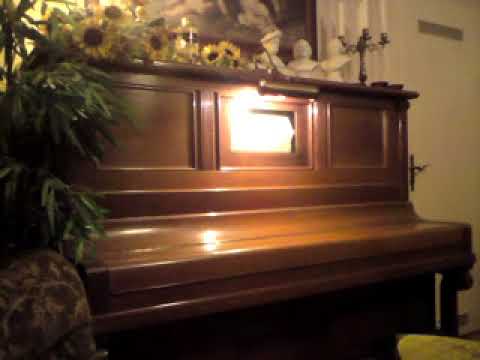 Liszt: UNGARISCHE RHAPSODIE NR. 1, gespielt von Arthur Friedheim