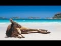 Tourism Australia Ad - 'It's like love' Dewayne ...