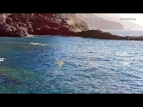 La Palma: 5 Min. Wildschwimmen in Puerto Santo Domingo