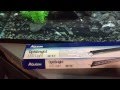 Aqueon Optibright Led Aquarium Light Fixture
