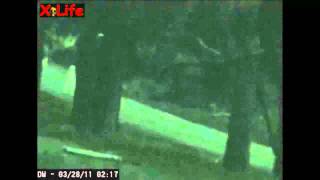 Fresno Alien (Nightcrawlers)