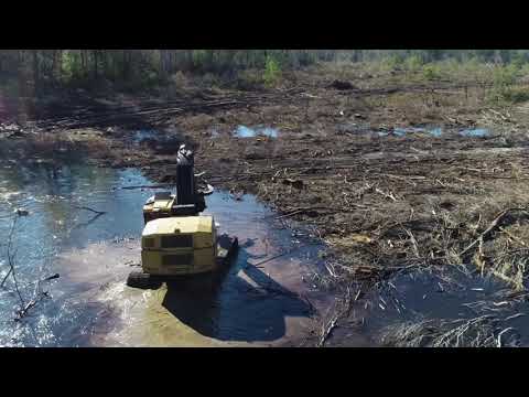 SWAMP LOGGERS NC / LAST OF THE COWBOYS (TONY JUSTICE)