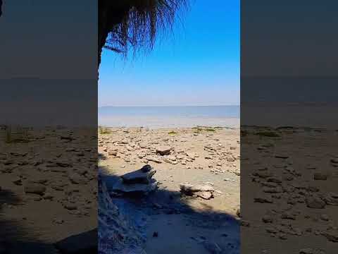 Brisas del plata. COLONIA