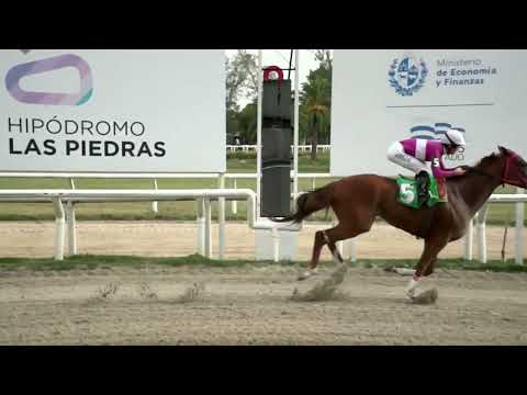 230303 c05  - DELFINITA - HIPODROMO LAS PIEDRAS - PREFERENCIAL "CLUB SOLIS"