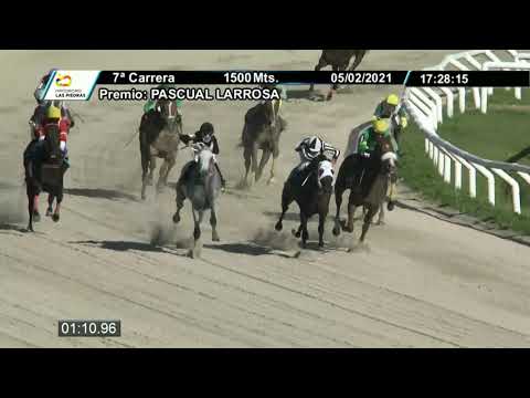 210205 c07 - GOLPAZO (BRZ) - HIPODROMO LAS PIEDRAS