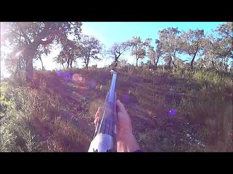 Elvis & Norma 2019 2020