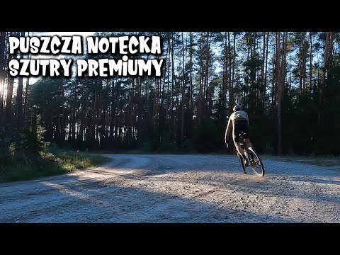 NOTECKA FOREST and the search for PREMIUM GRAVEL TRAILS.