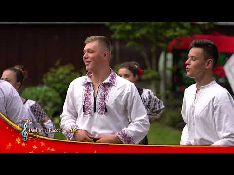 Ansamblul ”Mostenitorii Bucovinei”   tineret 2