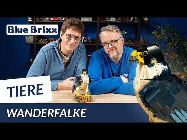 Vidéo teaser pour Schneller Jäger aus Klemmbausteinen: Der Wanderfalke von BlueBrixx erobert die Vogelserie!