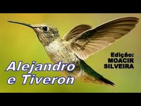 download lagu mp3 mp4 Cuitelinho Letra, download lagu Cuitelinho Letra gratis, unduh video klip Cuitelinho Letra
