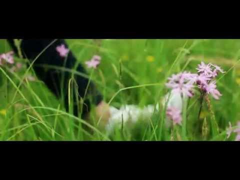 FAAKMARWIN - In Erinnerung (Offizielles Video)