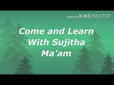 Cl2: Recapitulation- English Grammar Common and special names