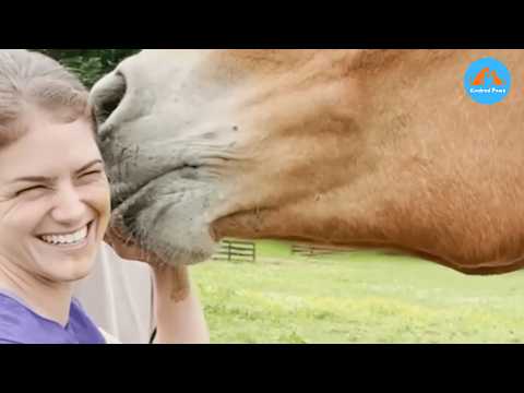 After 20 Years of Work, This Horse’s First Kiss Will Melt You